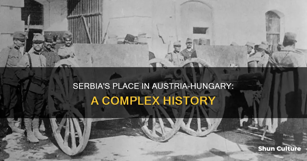 was serbia a part of austria hungary