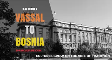 Was Serbia a Vassal to Bosnia? Historical Insights and Debates