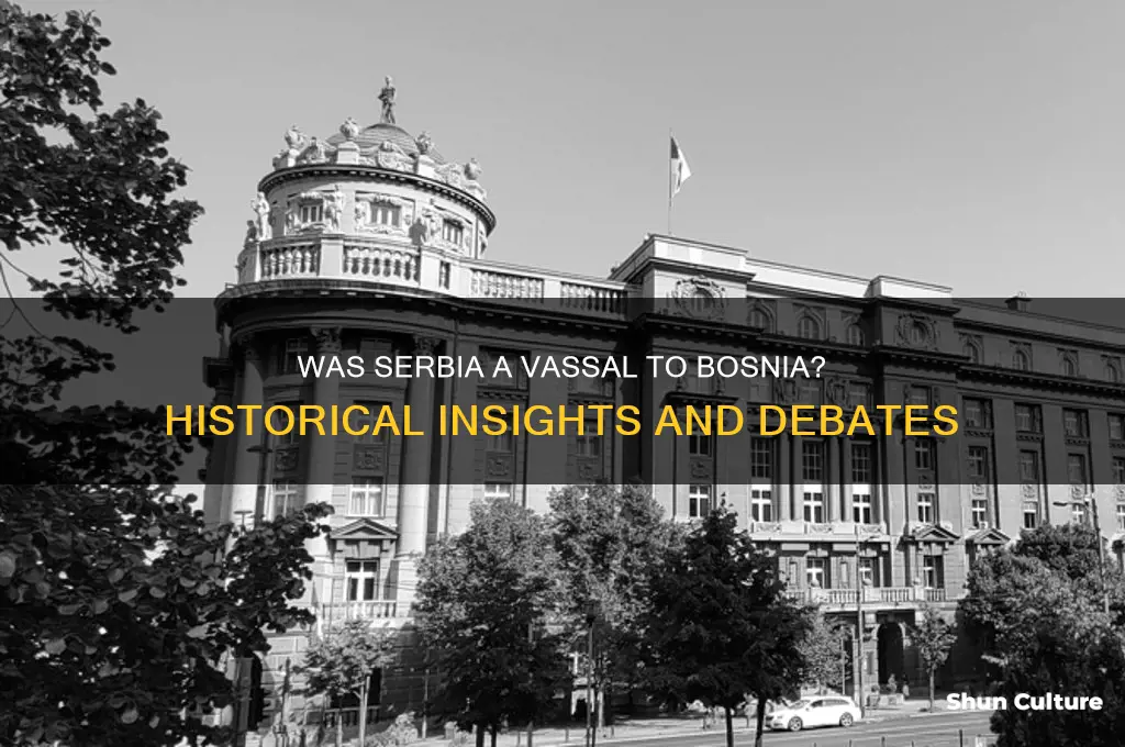 was serbia a vassal to bosnia