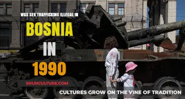 Bosnia's 1990 Sex Trafficking Laws: Legal Status and Historical Context