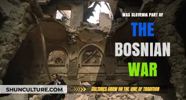 Slovenia's Role and Involvement in the Bosnian War Explained