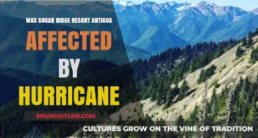 Hurricane Impact on Sugar Ridge Resort Antigua: What Happened?