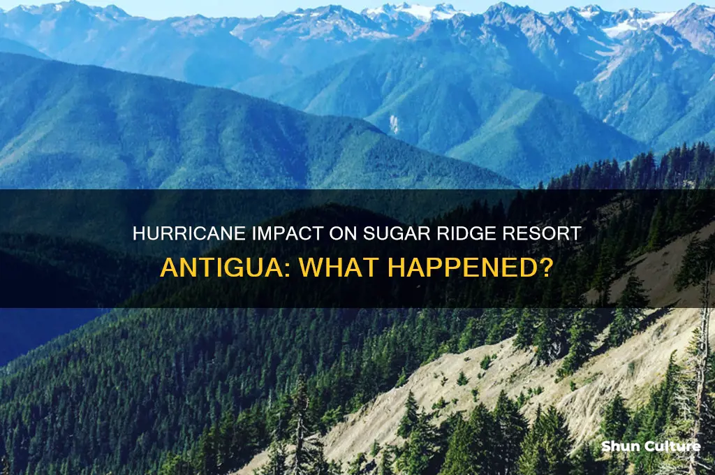 was sugar ridge resort antigua affected by hurricane