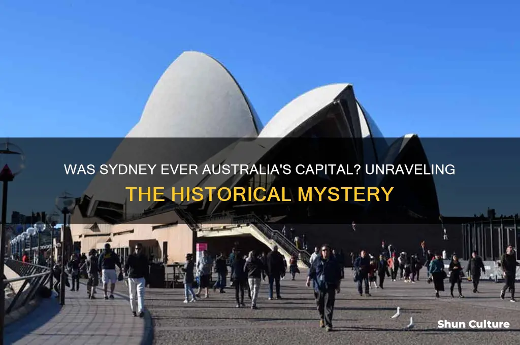 was sydney ever the capital of australia