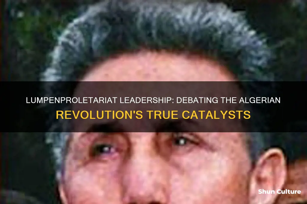 was the algerian revolution led by lumpenproletariat