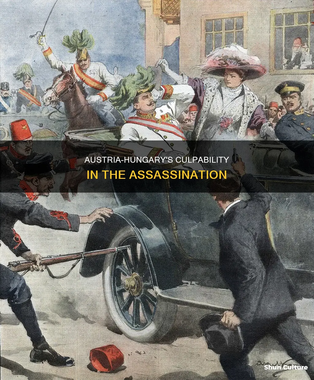 was the austria hungarian government responsible to the assasination