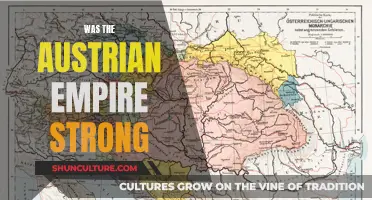 The Austrian Empire: A Force to be Reckoned With?