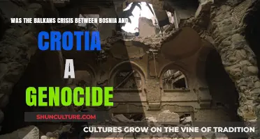 Bosnia-Croatia Conflict: Genocide or War Crime in the Balkans?