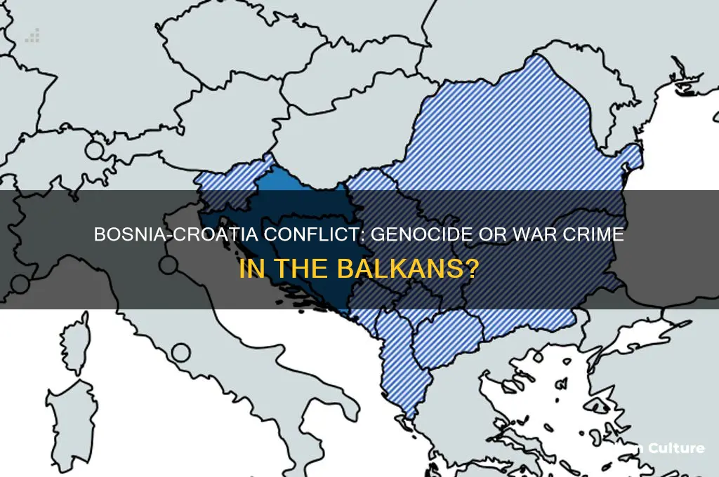was the balkans crisis between bosnia and crotia a genocide