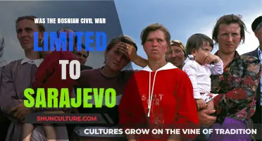 Beyond Sarajevo: The Widespread Devastation of Bosnia's Civil War