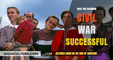 Was the Bosnian Civil War Successful? Analyzing Outcomes and Long-Term Impacts