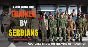 Serbian Training of Bosnian Groups: Uncovering the Truth Behind Allegations