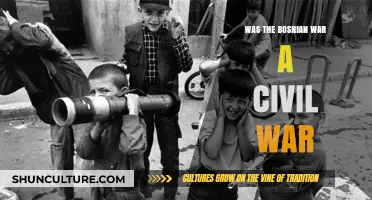Was the Bosnian War a Civil War? Unraveling the Conflict's Complex Nature