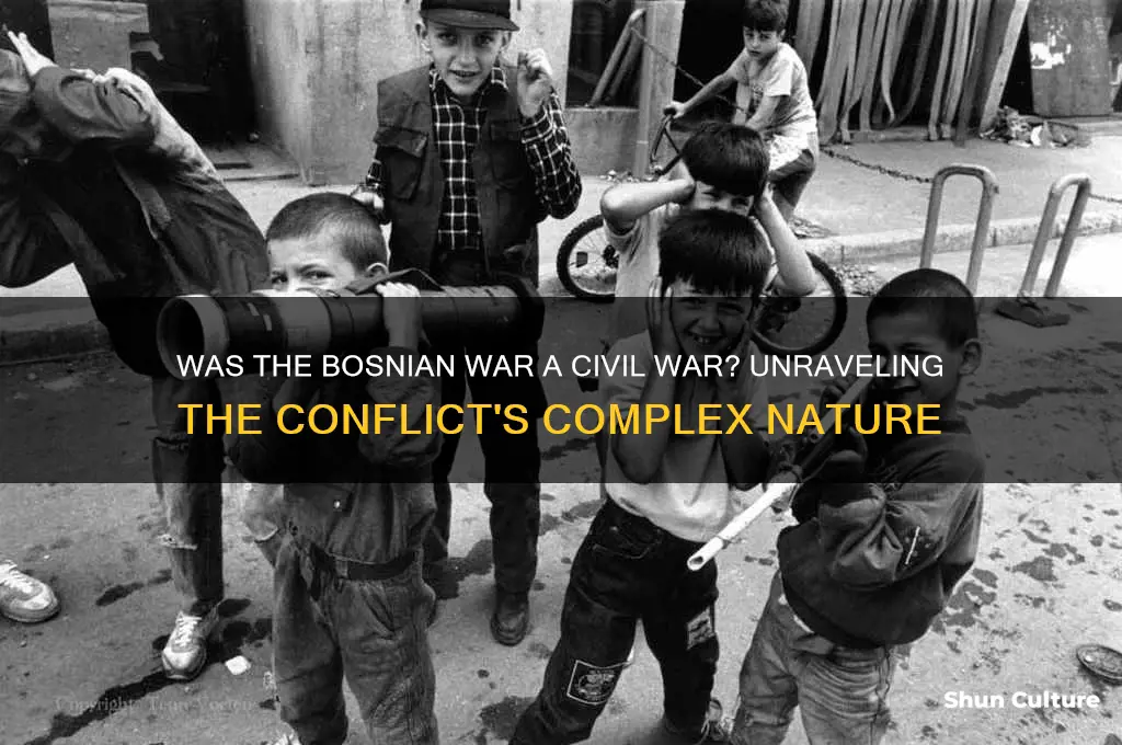 was the bosnian war a civil war