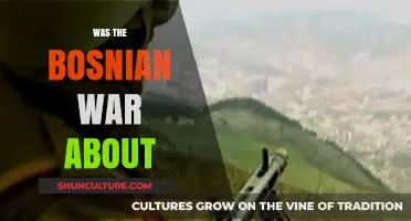Understanding the Bosnian War: Causes, Conflicts, and Consequences Explained