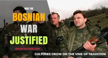 The Bosnian War: Justified Conflict or Unnecessary Tragedy?