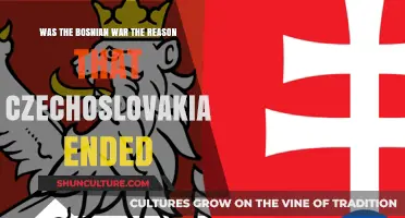 Did the Bosnian War Trigger Czechoslovakia's Dissolution?