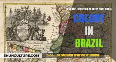 Which European Power Colonized Brazil: Unraveling Historical Ties