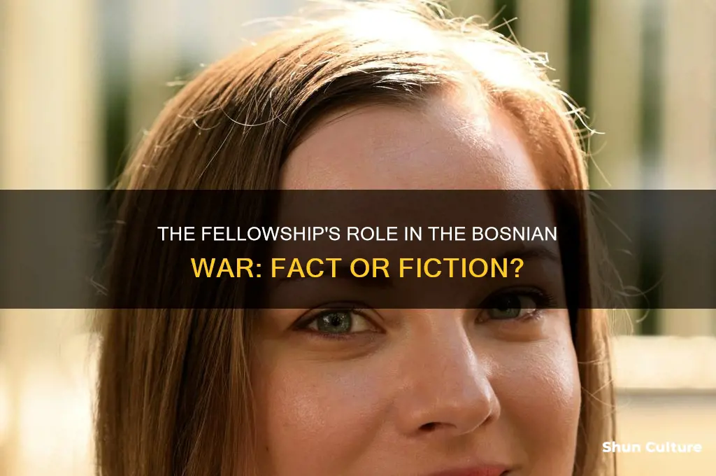 was the fellowship responsible for bosnian war