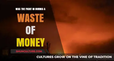 Was the Fight in Burma a Waste of Money?