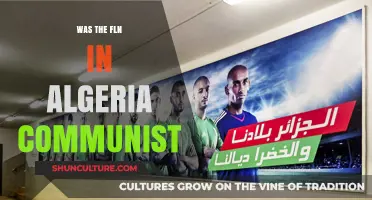 Was the FLN in Algeria Communist? Unraveling the Political Ideology