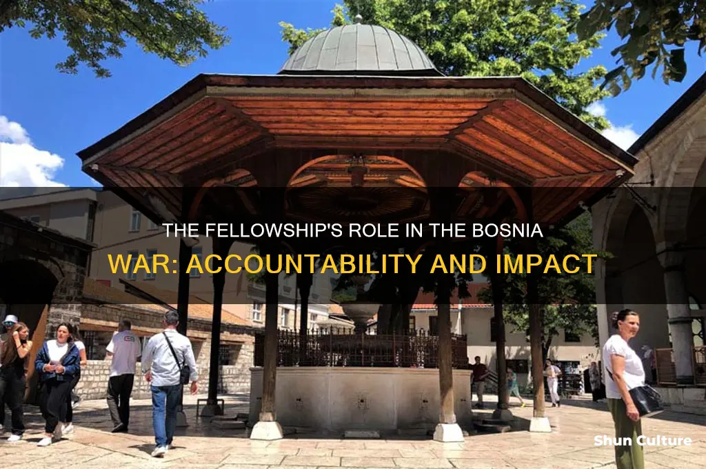was the followship responsiable for bosnia war