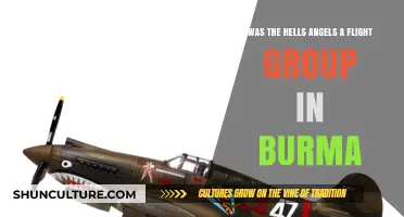 Unveiling the Truth: Hells Angels' Burma Flight Group Debunked