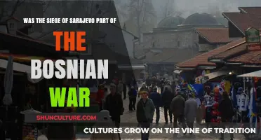 The Siege of Sarajevo: A Defining Chapter in the Bosnian War