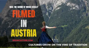 The Sound of Music: Austria's Cinematic Glory