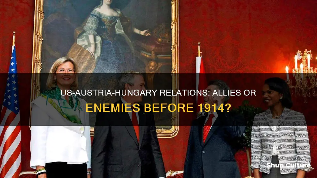 was the us allies to austria hungary before 1914