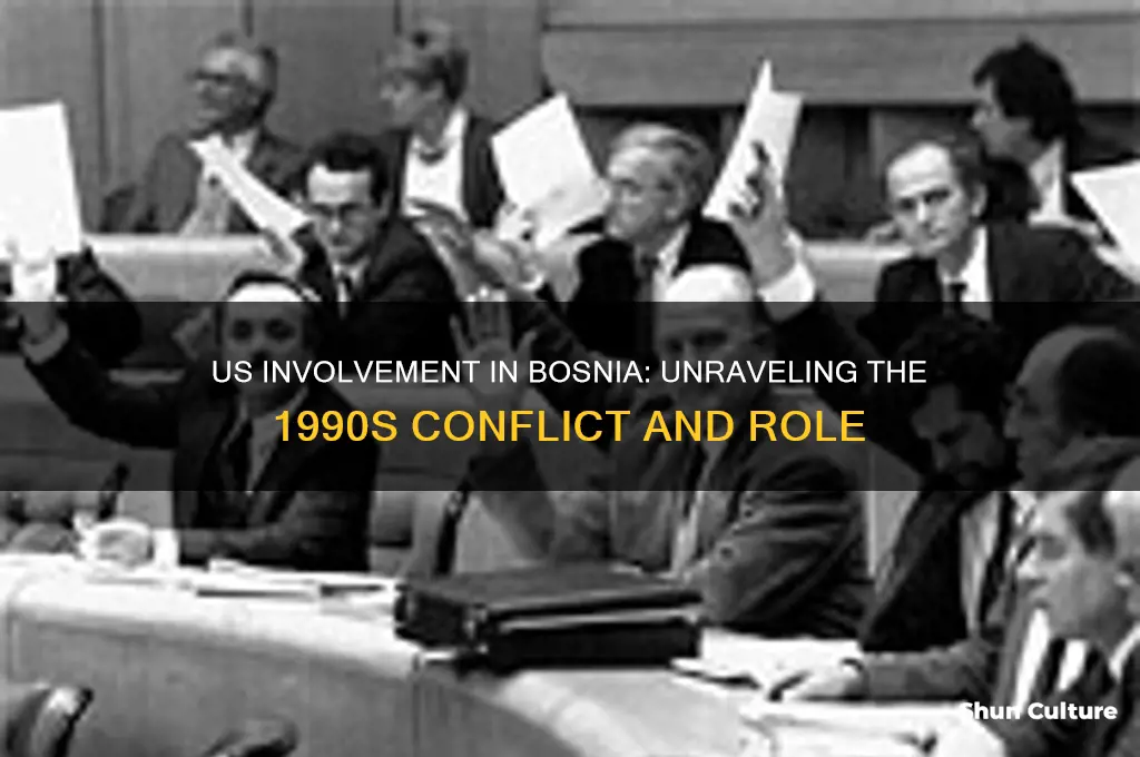 was the us in bosnia in the 90s