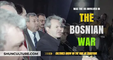 US Role in the Bosnian War: Fact or Fiction?