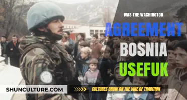Was the Washington Agreement Effective for Bosnia's Peace and Stability?