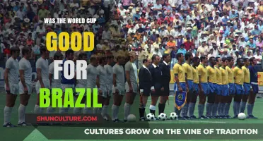 Was the World Cup a Blessing or Burden for Brazil?