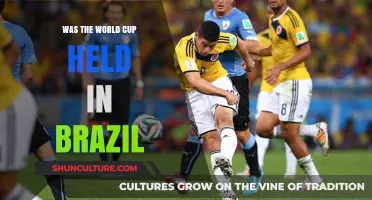 Was the World Cup Held in Brazil? A Historical Overview
