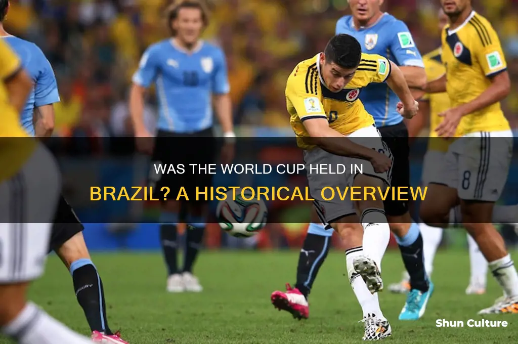 was the world cup held in brazil