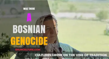 The Bosnian Genocide: Uncovering the Truth Behind the Atrocities