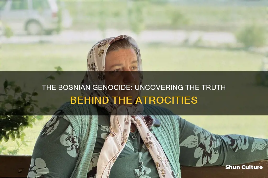 was there a bosnian genocide