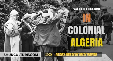 Colonial Algeria's Forgotten Tragedy: Uncovering the Holocaust Narrative