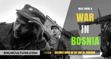 The Bosnian War: Unraveling the Conflict and Its Lasting Impact