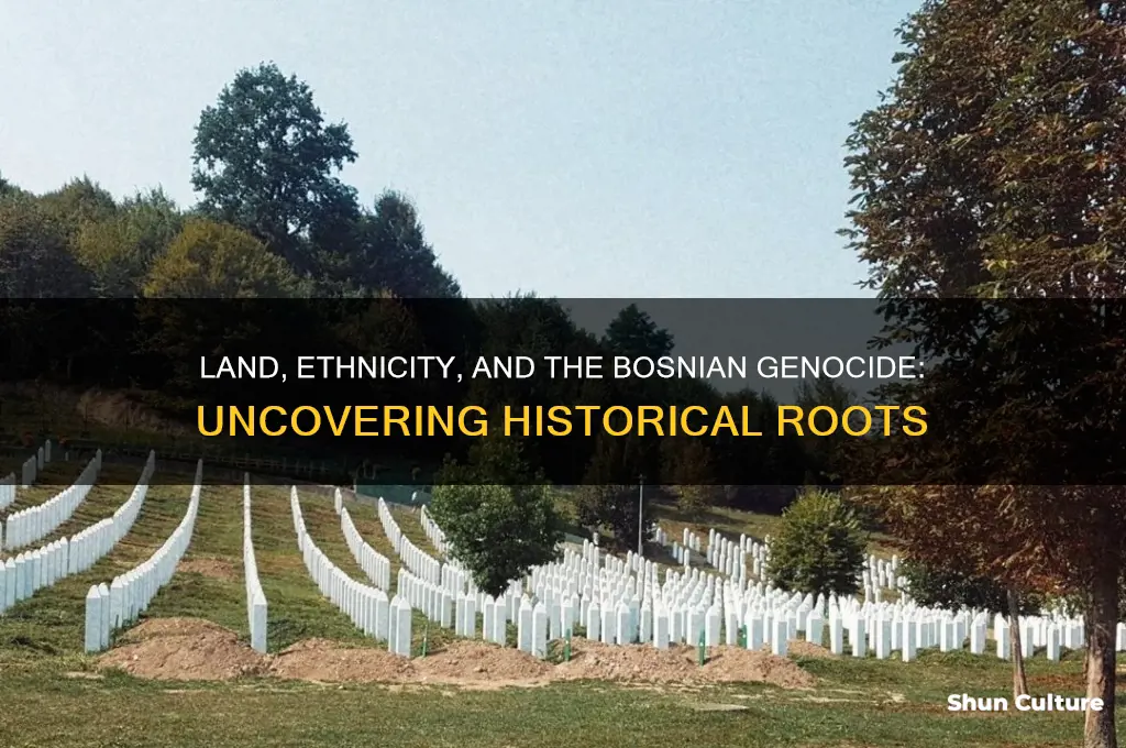 was there land involved in the bosnian genocide