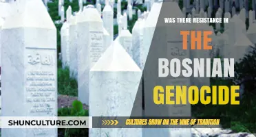 Resistance Amidst Horror: Uncovering Bosnian Genocide's Untold Stories of Defiance