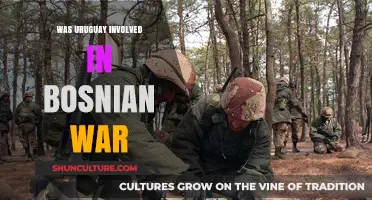 Uruguay's Role in the Bosnian War: Uncovering the Hidden Connection