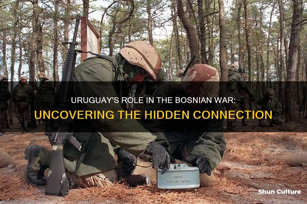 was uruguay involved in bosnian war