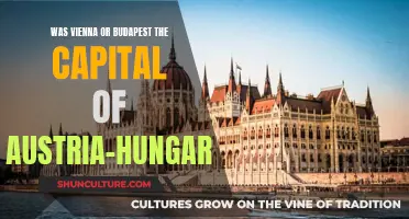 The Capital of Austria-Hungary: Vienna or Budapest?