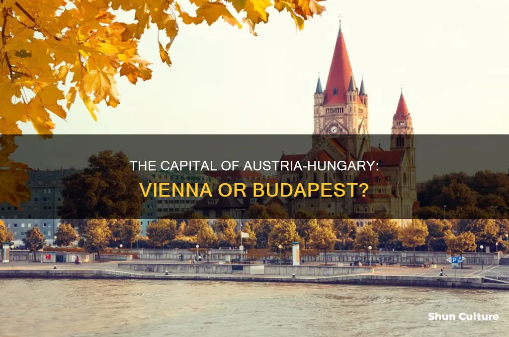 was vienna or budapest the capital of austria-hungary