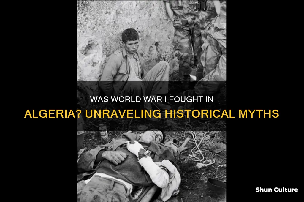was ww1 an algerian country