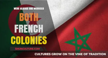 Algeria and Morocco: Shared Histories as French Colonies Explored