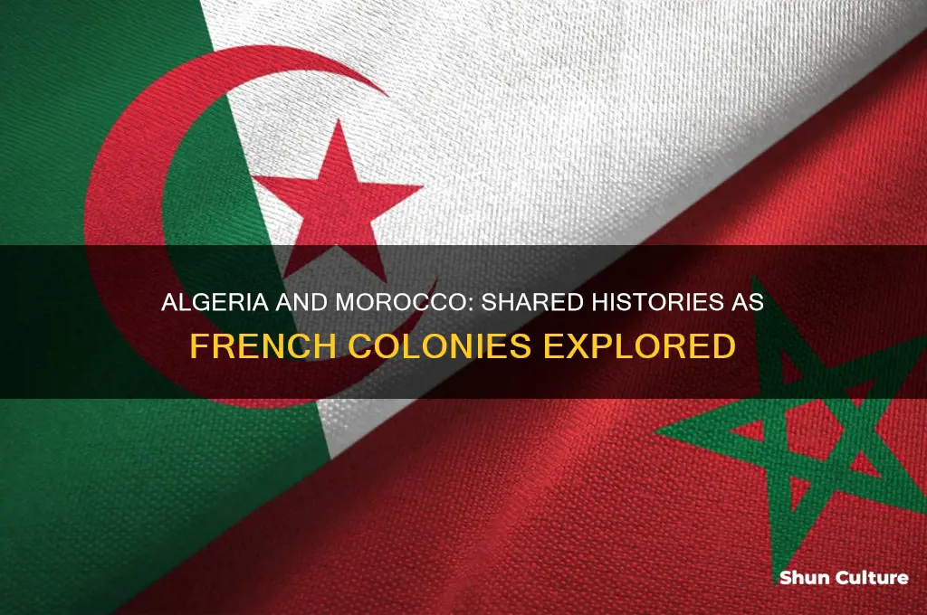 were algeria and morocco both french colonies