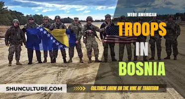 American Troops in Bosnia: Deployment, Role, and Impact Explained